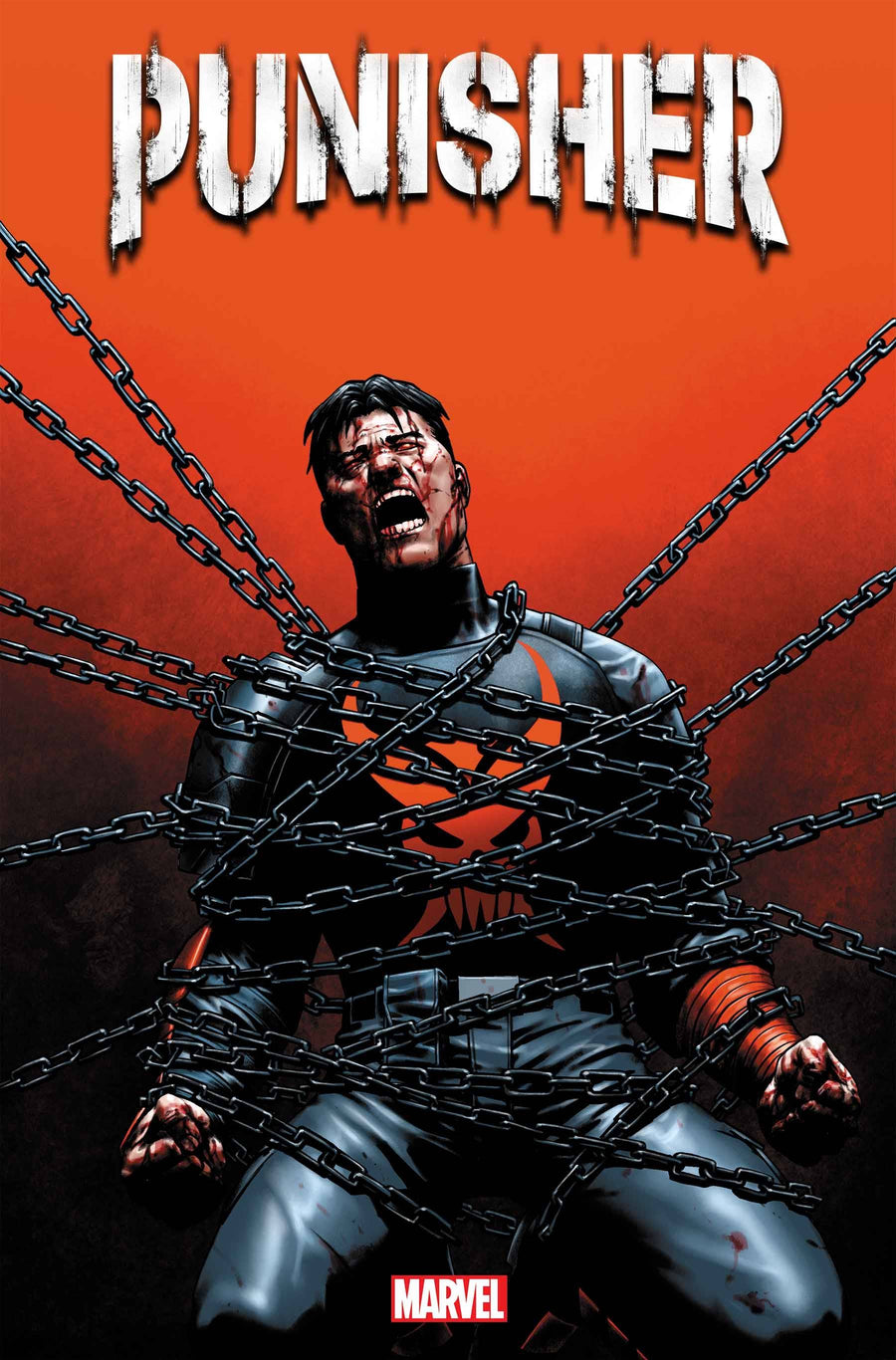 PUNISHER #12